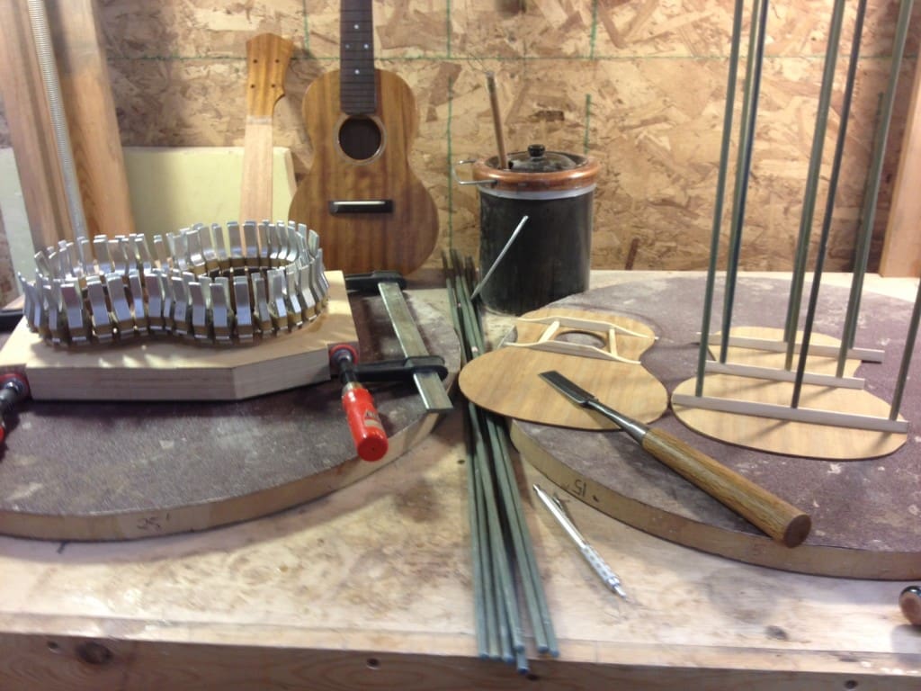 drobertsBracing