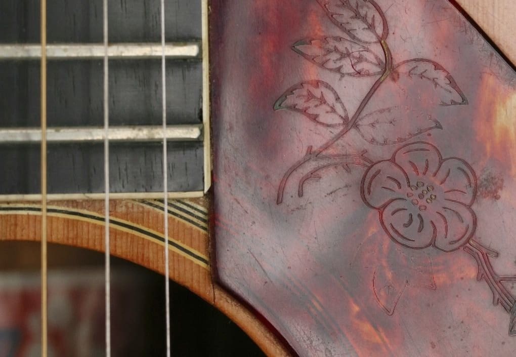 The Project Guitar Project: 1973 Gibson Dove - Fretboard Journal