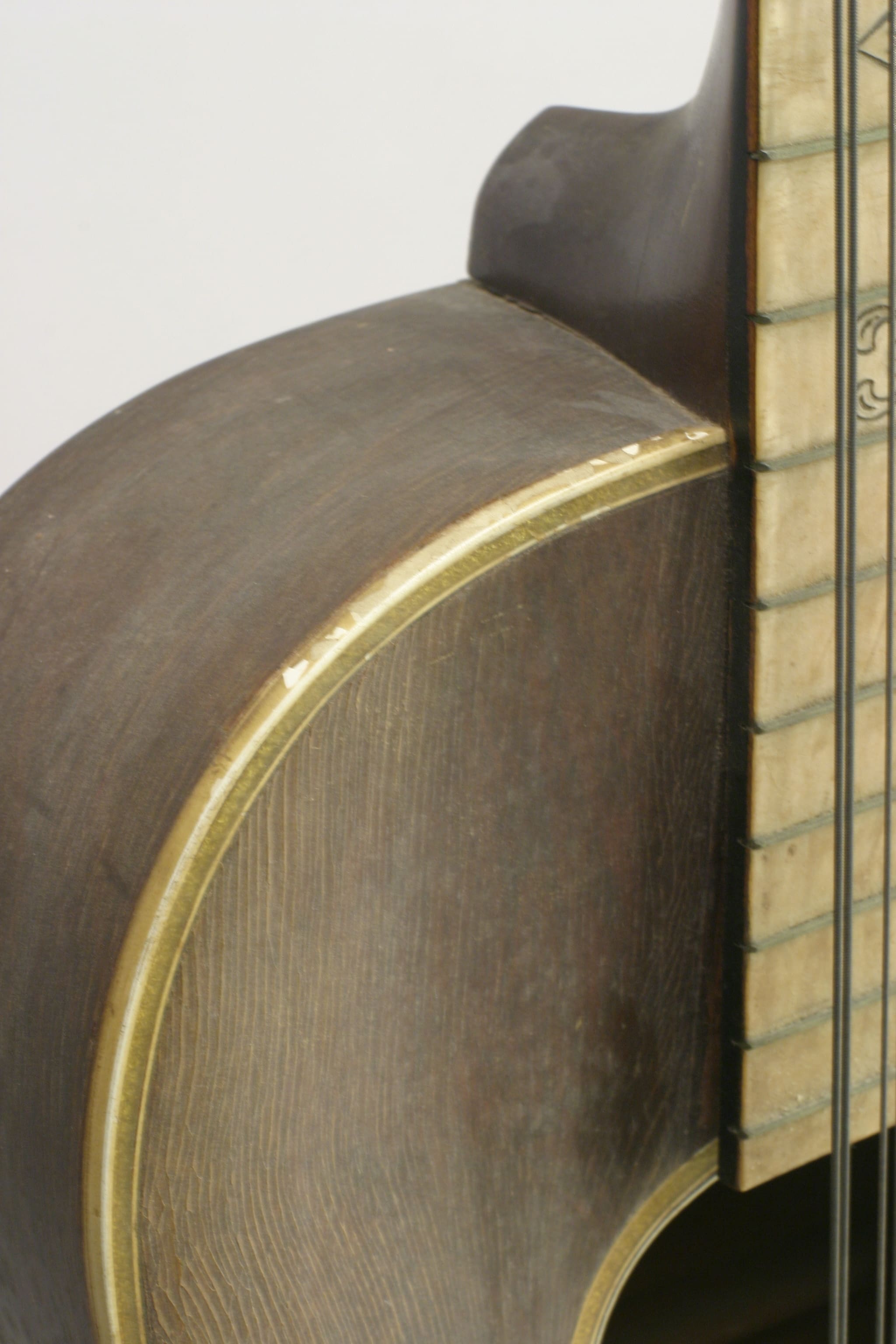 Stella 12-String