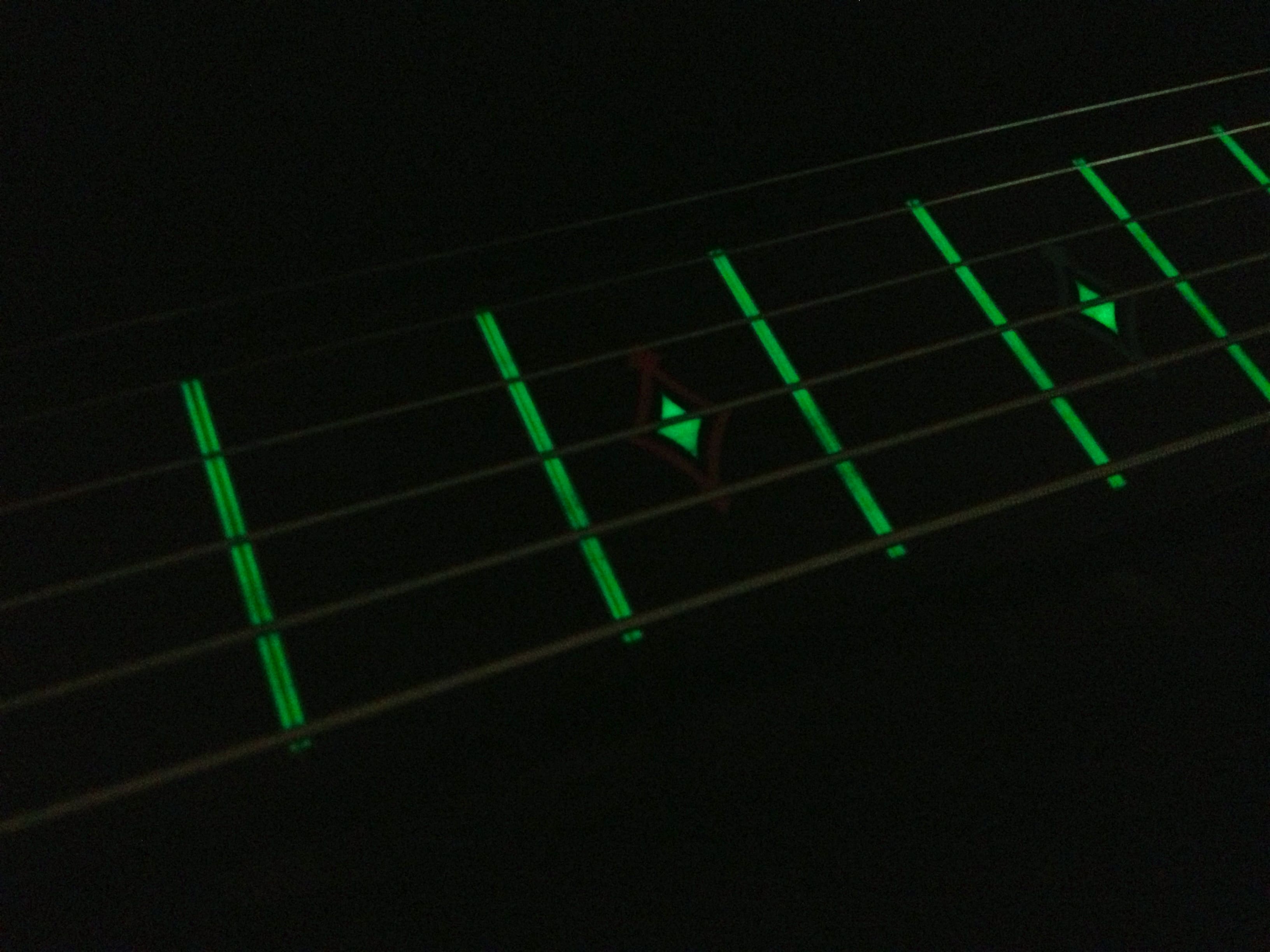 Scott WAlker Stel Guitar