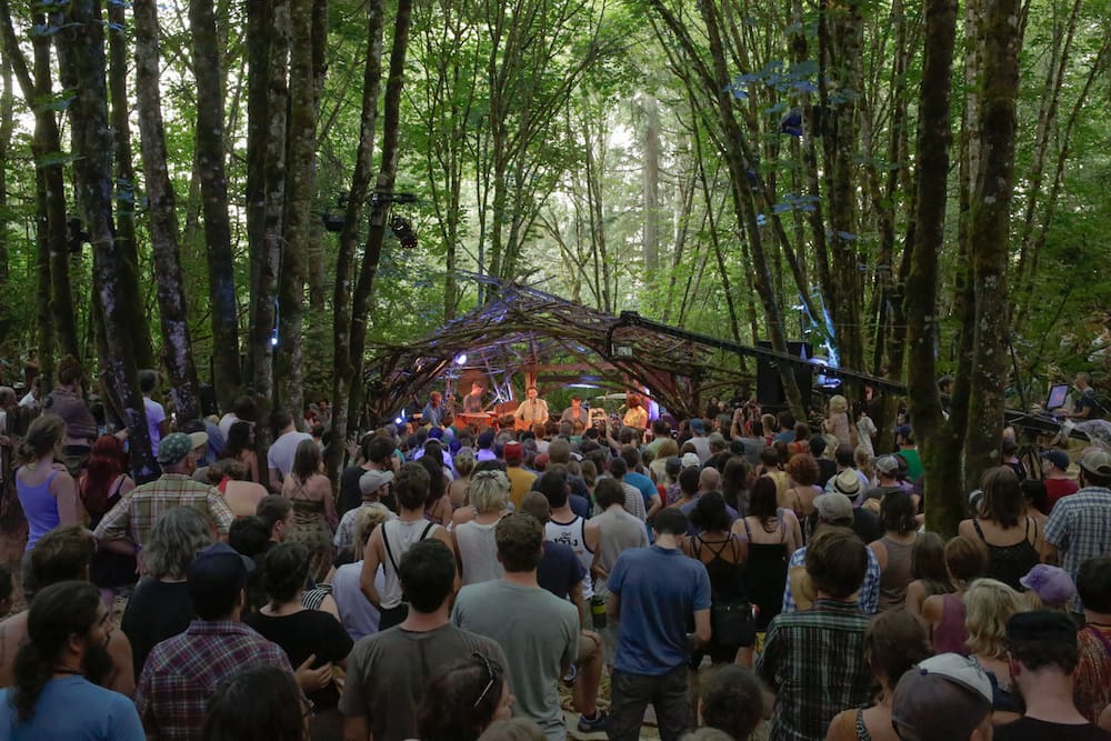 2014_jason_redmond_pickathon-26