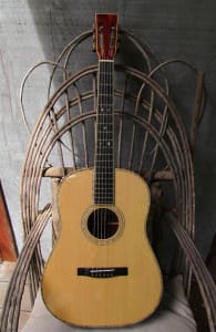 davidDartGuitar